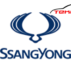 SSANGYOUNG